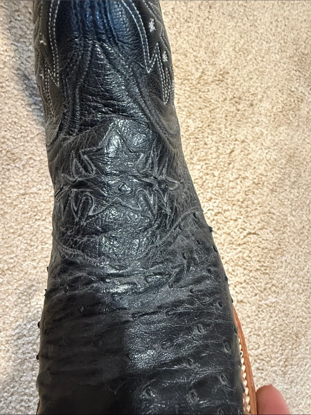 Lucchese premium women’s